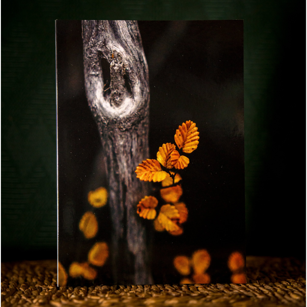 Huon Douglas Greeting Card