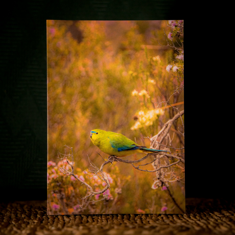 Huon Douglas Greeting Card