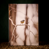 Huon Douglas Greeting Card