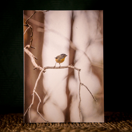 Huon Douglas Greeting Card