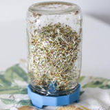 Masontops Bean Sprouting Lid (2 Pack)
