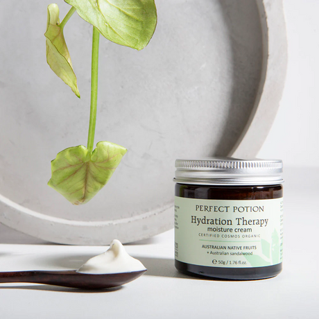 Perfect Potion Hydration Therapy Moisture Cream 50 g