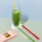 Sucker Glass Smoothie Straws Multi-Colour (4 Pack)