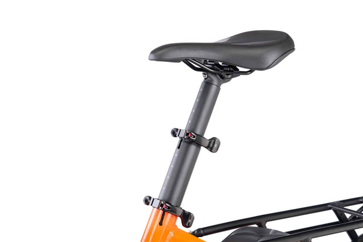 Tern GSD P00