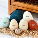 Tara Treasures Poultry Eggs Set of 7