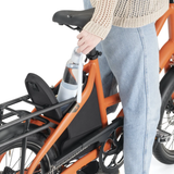 Tern Carryall Trunk