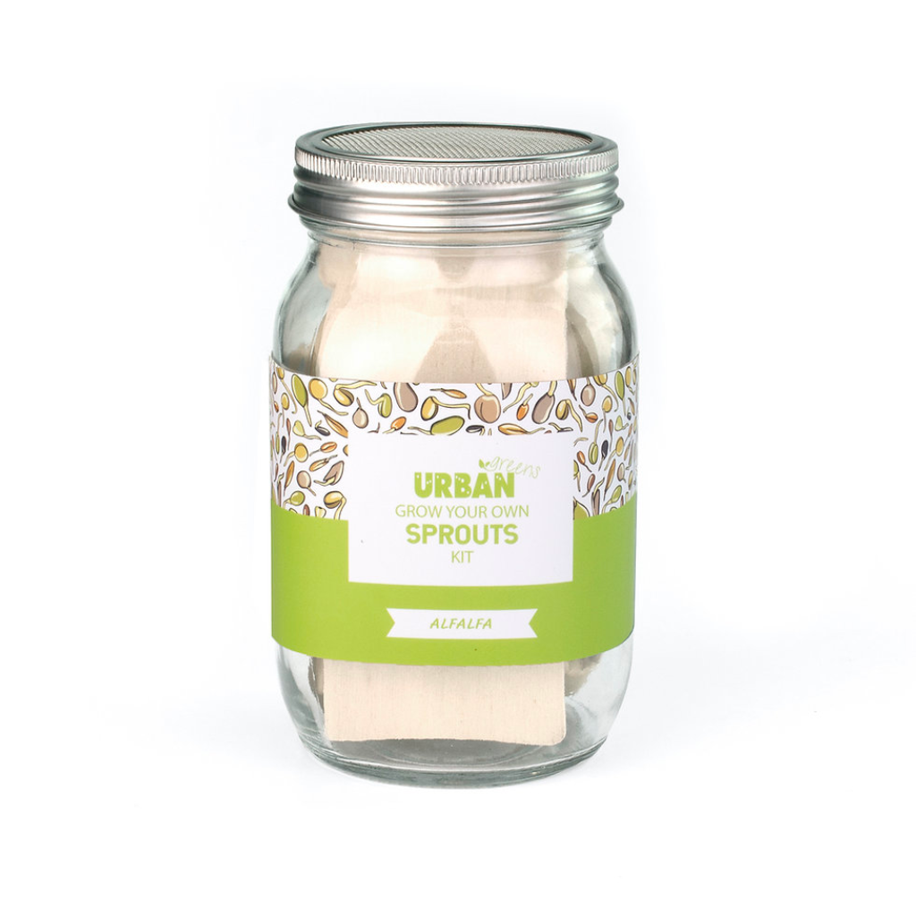 Urban Greens Sprout Jar Kit