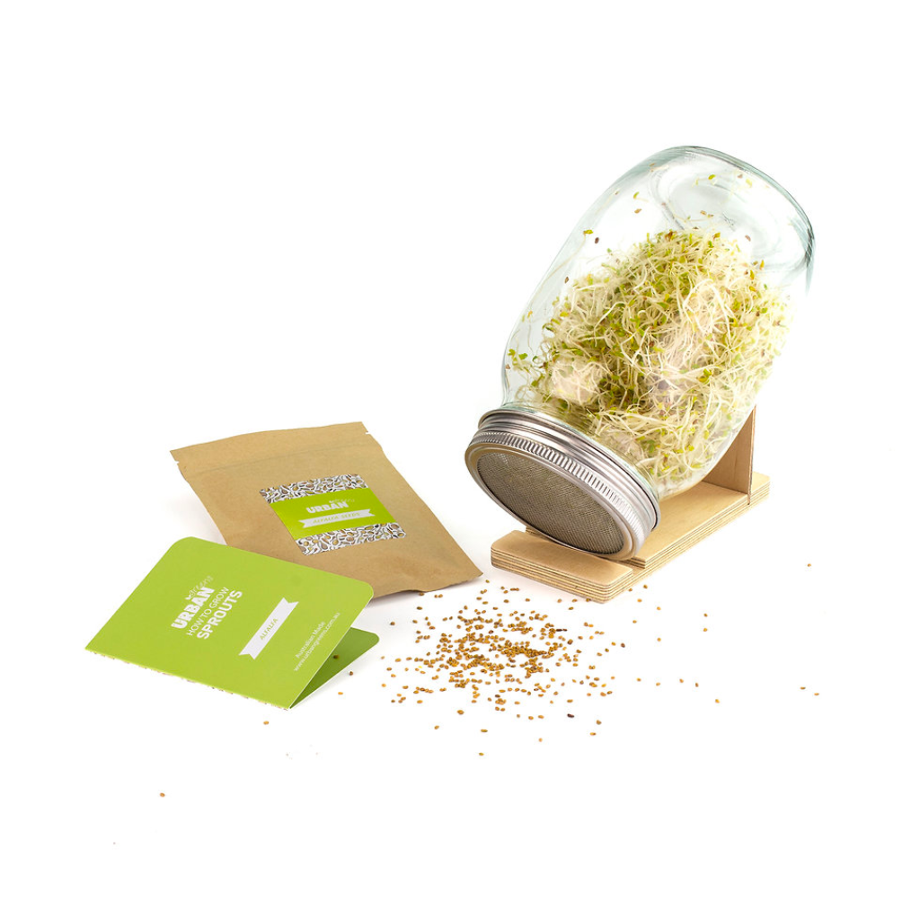 Urban Greens Sprout Jar Kit