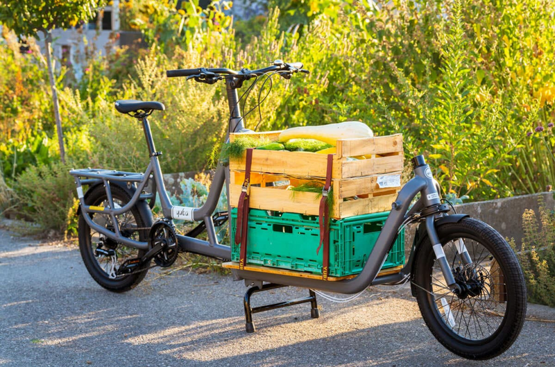 Yuba cargo e-Bike from Teros