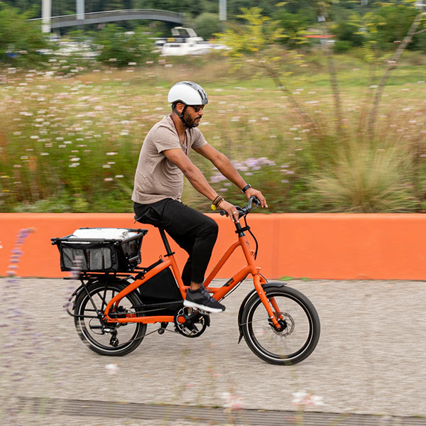 Tern Short Haul D8