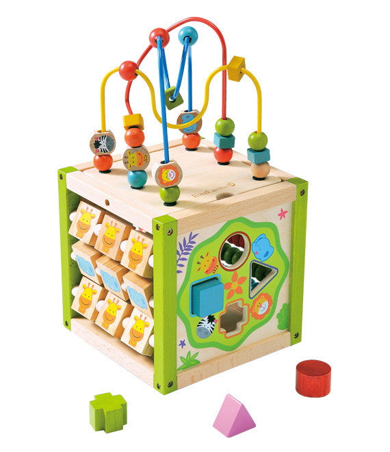 EverEarth My First Multi Play Activity Cube