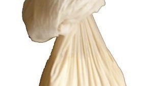 Cheesemaking Equipment