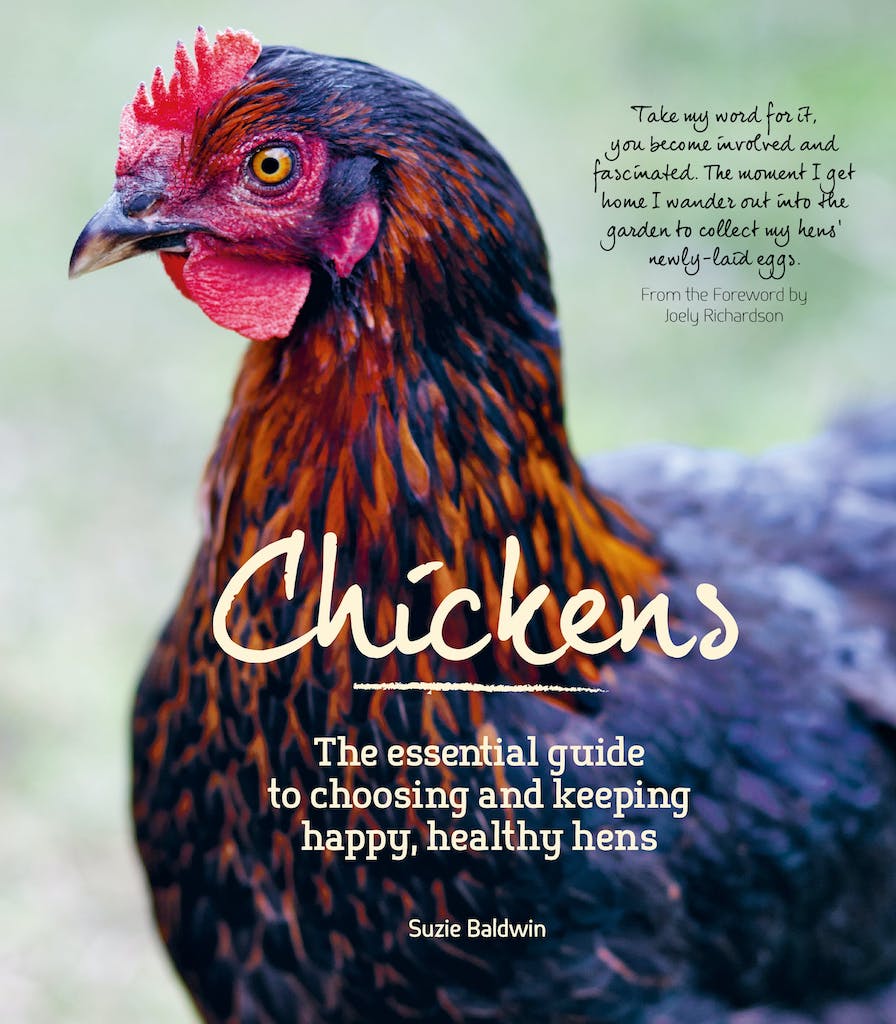 "Chickens" Book by Suzie Baldwin