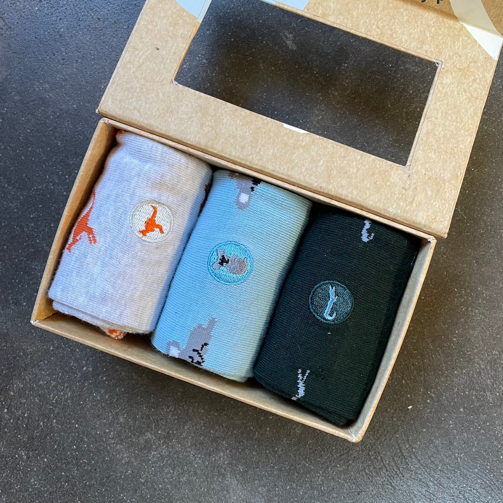 Conscious Step Socks Womens Size 5-9 (Mens Size 4-8)   Collection (3 Pack)