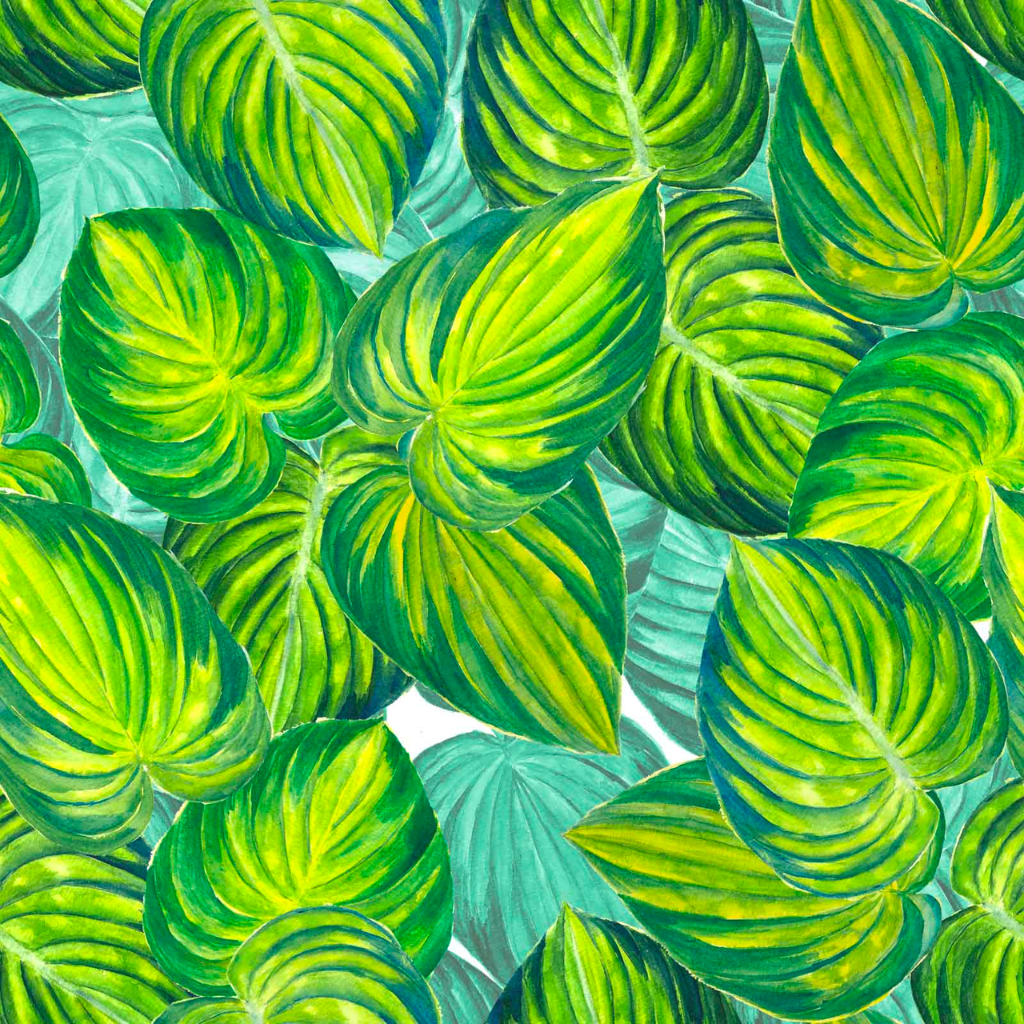 Designer Bums Cloth Pad Liner