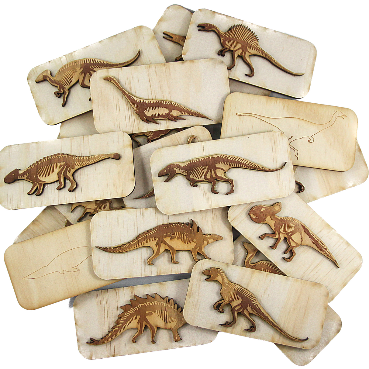 5 Little Bears Dinosaur Fossil Stamps