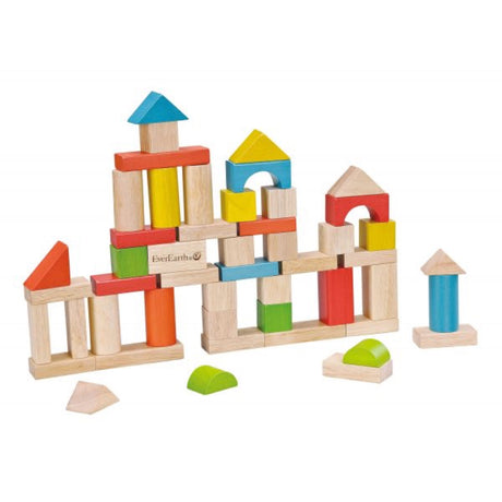 EverEarth Building Blocks (50 Pieces)