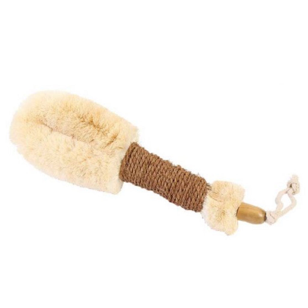 Eco Max Body Brush with Coir Handle