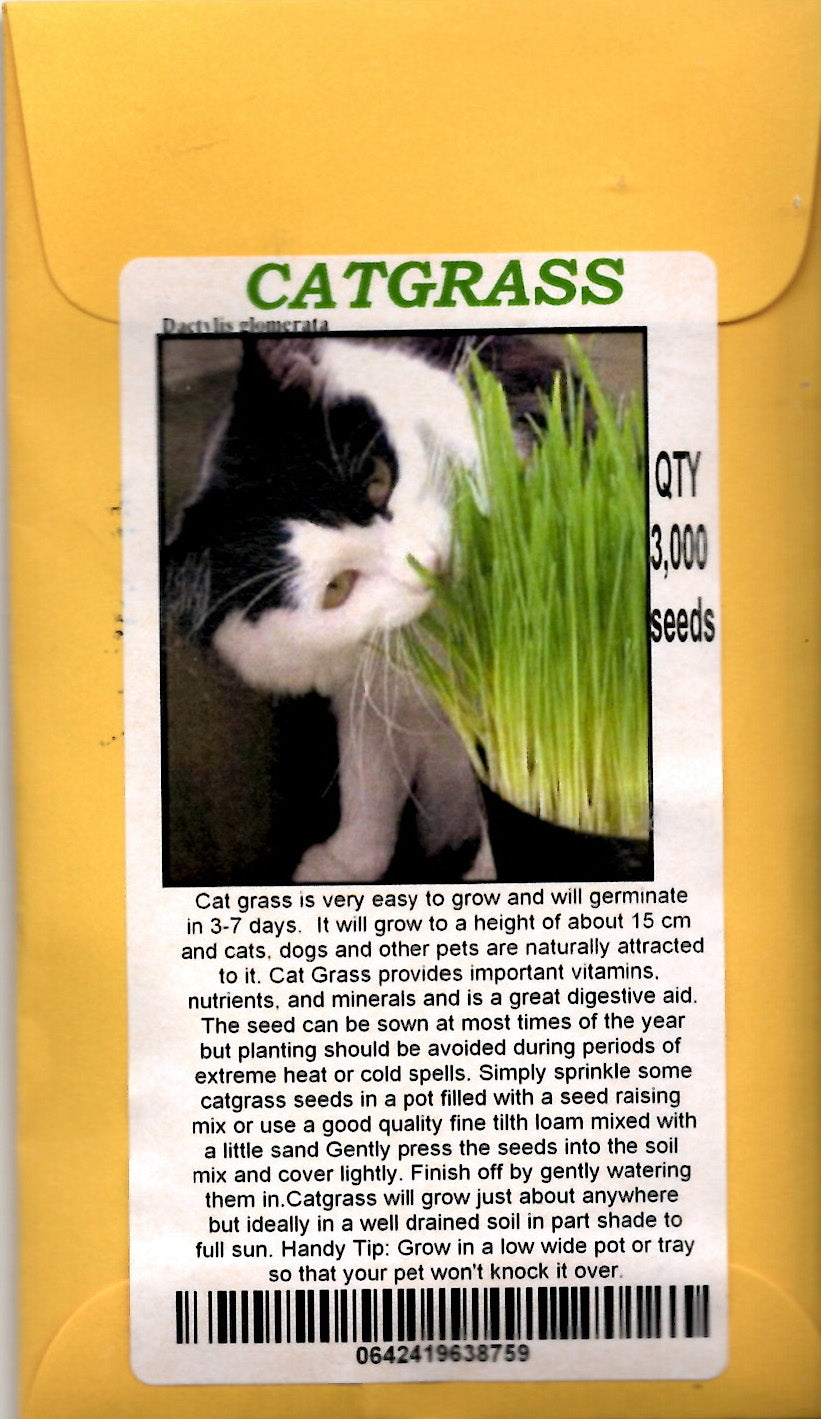 Catgrass