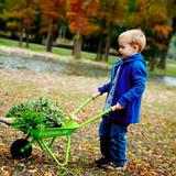 EverEarth Wheel Barrow