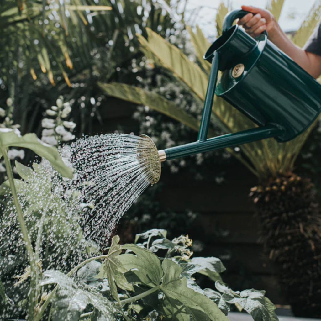 Haws The Bearwood Brook Watering Can 9 L