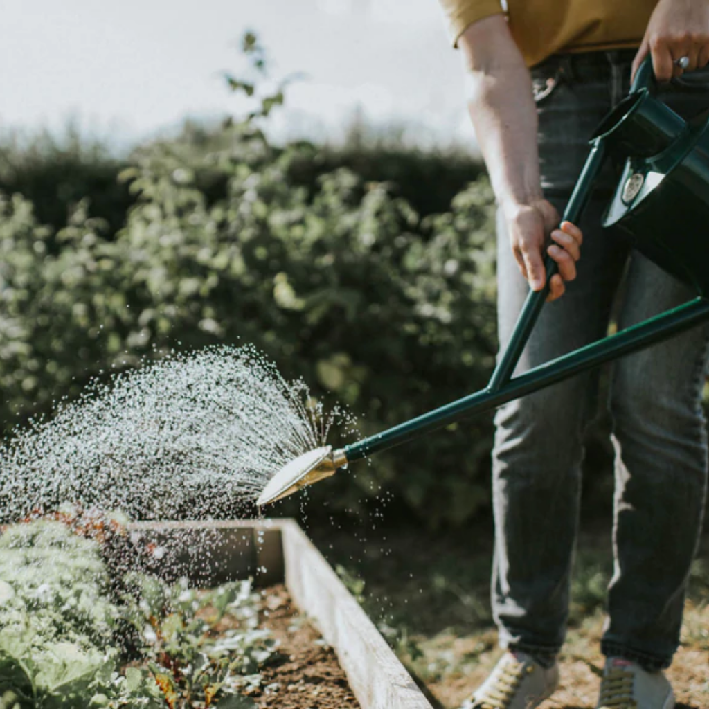 Haws The Warley Fall Watering Can (Long Reach) 9 L