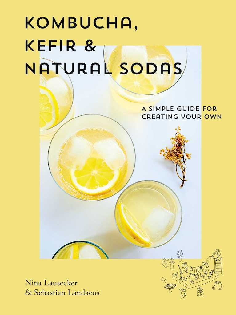 "Kombucha, Kefir & Natural Sodas" Book by Nina Lausecker & Sebastian Landaeus