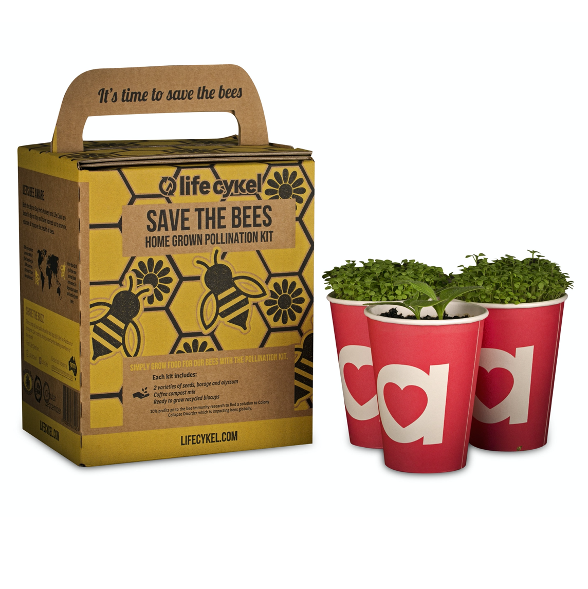 Life Cykel Bee Pollination Grow Kit