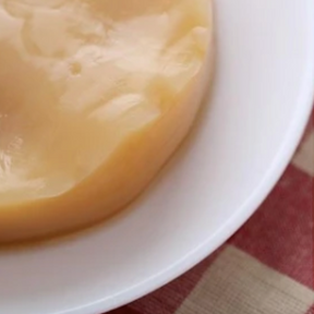 Nourishme Organics Kombucha Scoby 100 g & Instructions Teros