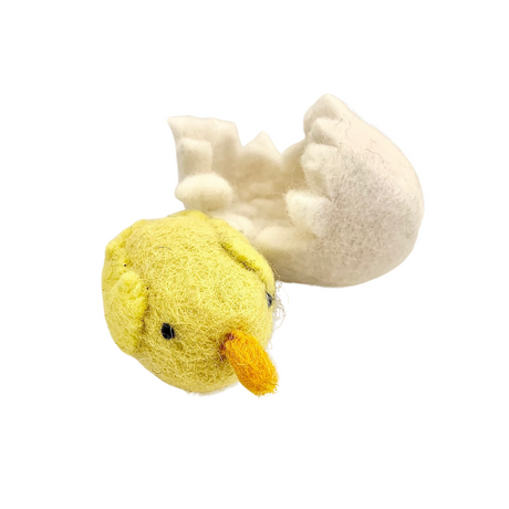 Papoose Chick in Egg