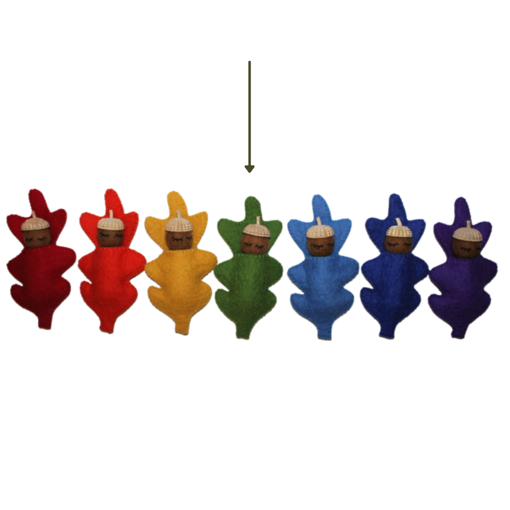 Papoose Acorn Babies