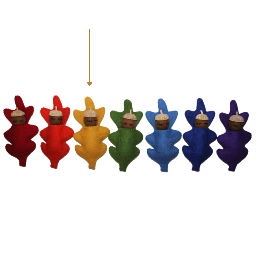 Papoose Acorn Babies