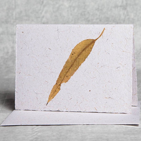 Plane Tree Studio Eucalyptus and Natural Fibre Card