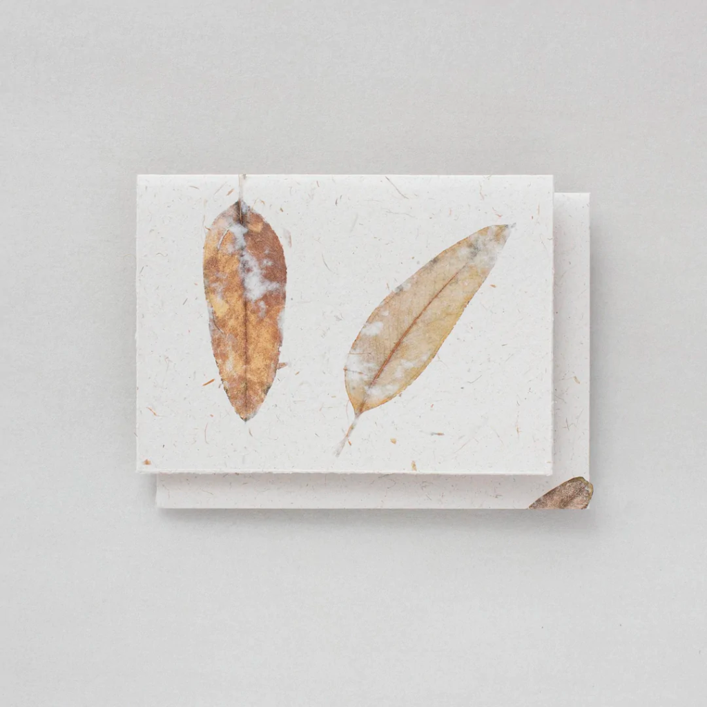 Plane Tree Studio Eucalyptus and Natural Fibre Card