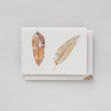 Plane Tree Studio Eucalyptus and Natural Fibre Card