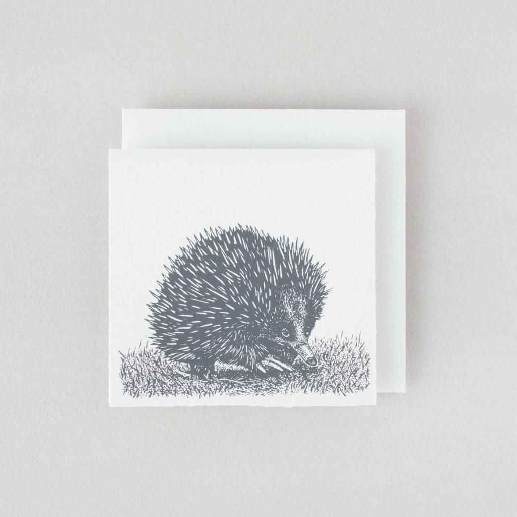 Plane Tree Studio Tasmanian Native Fauna Handmade Card