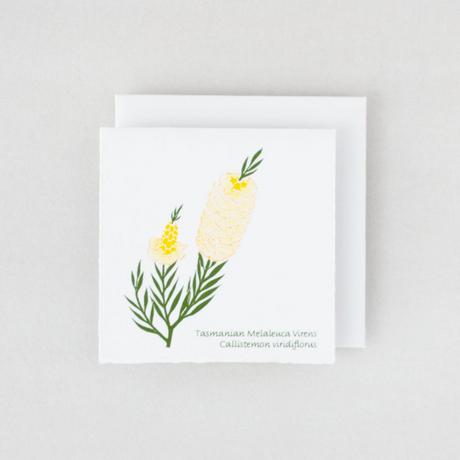 Plane Tree Studio Tasmanian Native Flora Handmade Card