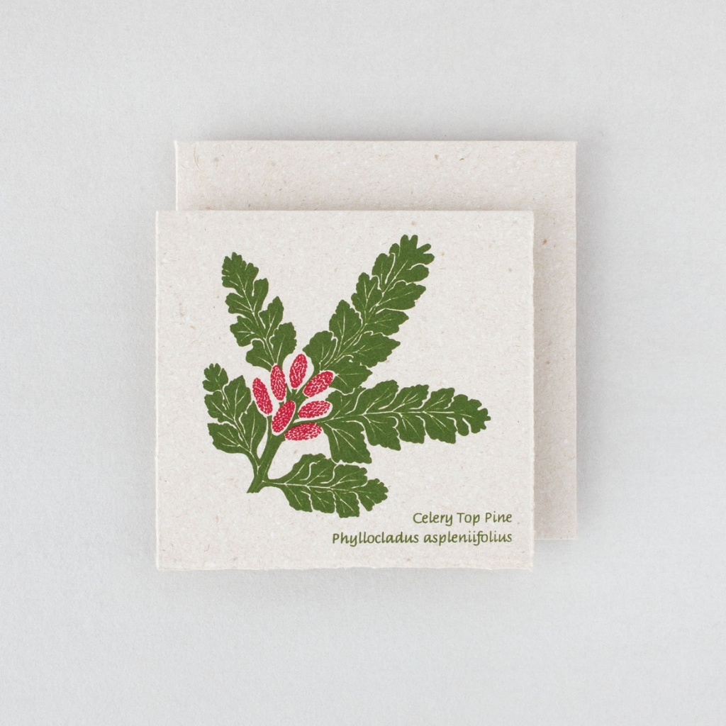 Plane Tree Studio Tasmanian Native Flora Handmade Card