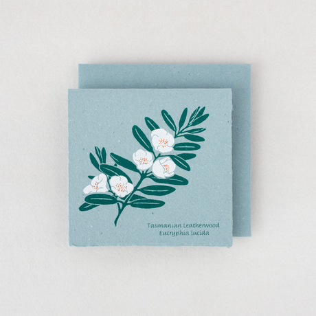 Plane Tree Studio Tasmanian Native Flora Handmade Card