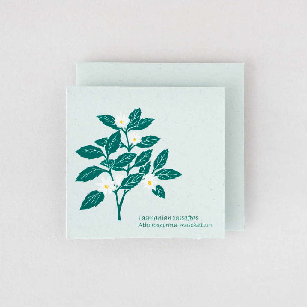 Plane Tree Studio Tasmanian Native Flora Handmade Card