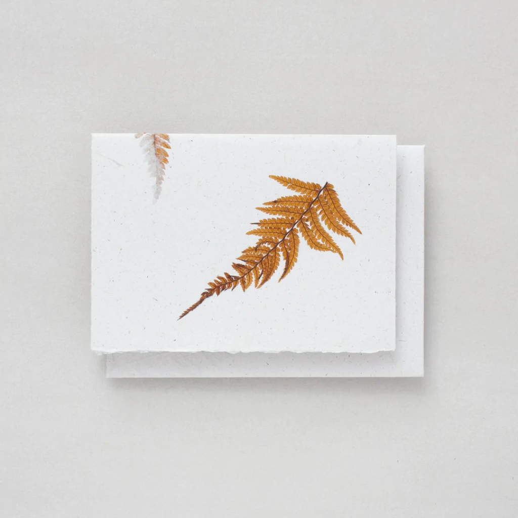 Plane Tree Studio Fern and Natural Fibre Card