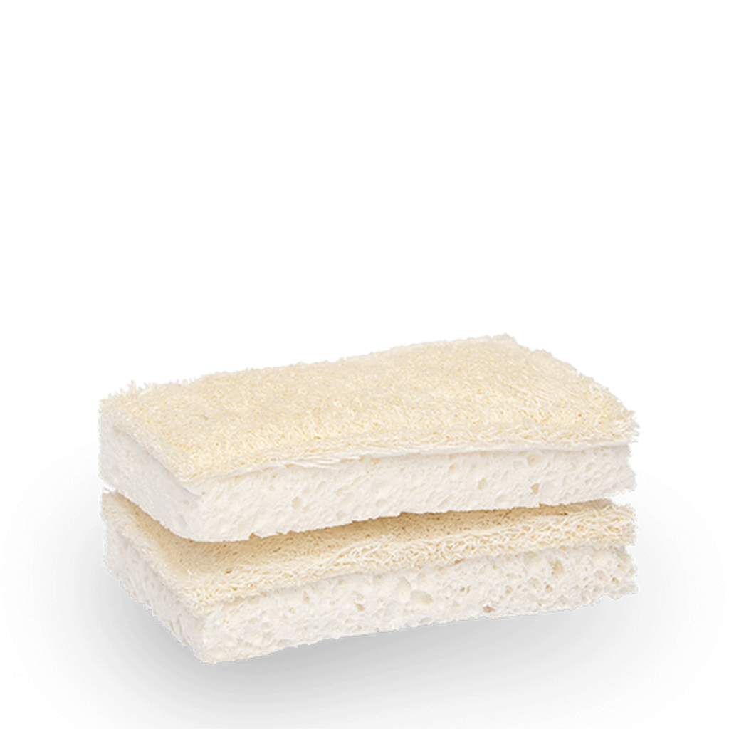 Seed & Sprout Compostable Sponge with Scourer (2 Pack)