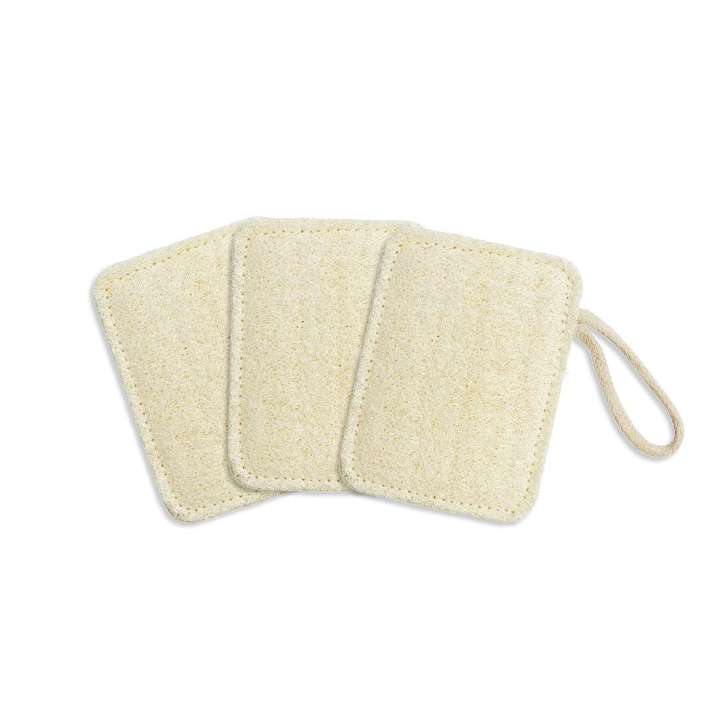 Seed & Sprout Kitchen Loofah (3 Pack)