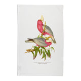 Linen Press Tea Towel White John Gould (Organic Cotton) Teros