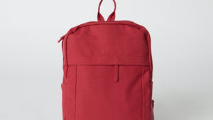 Backpacks & Laptop Bags