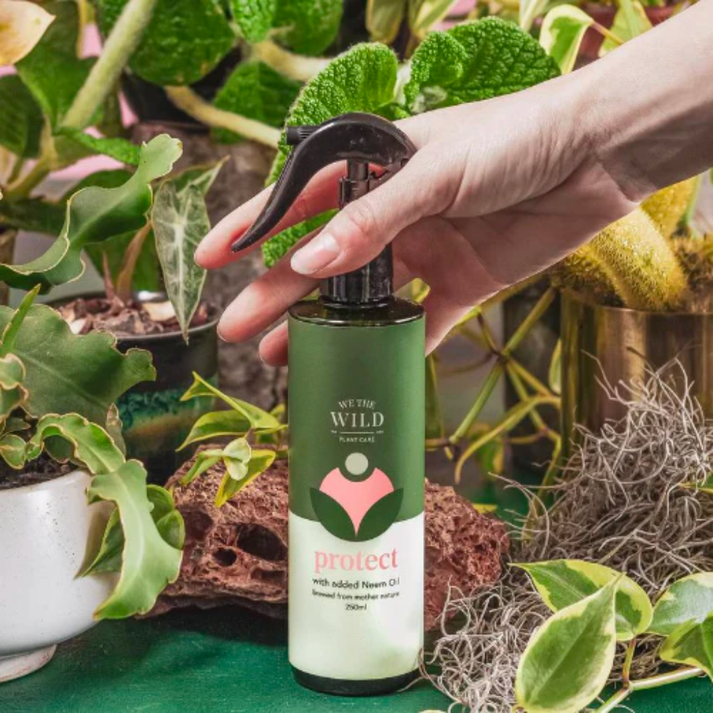 We the Wild Protect Indoor Plant Spray with Neem 250 ml