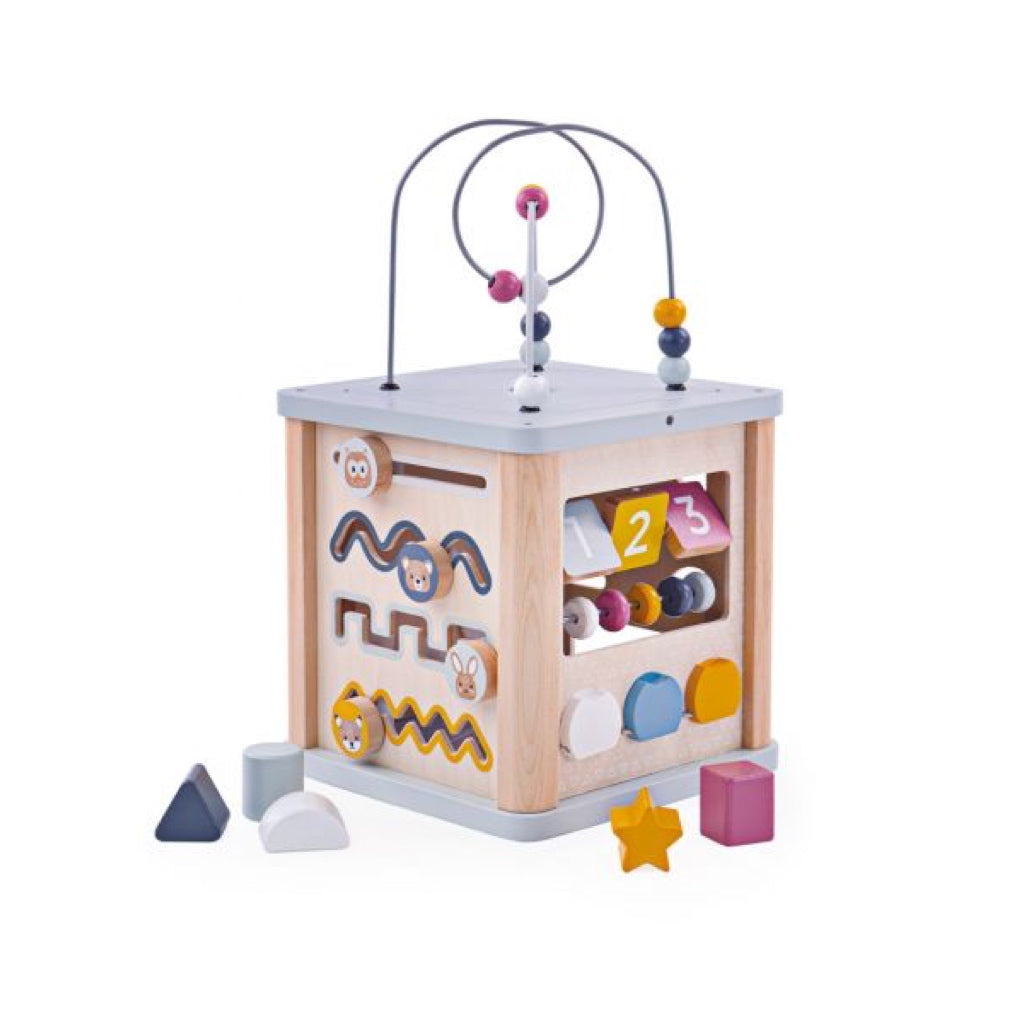 Bigjigs Activity Cube