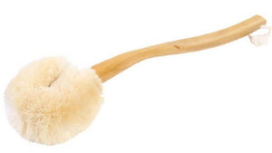 Brushes