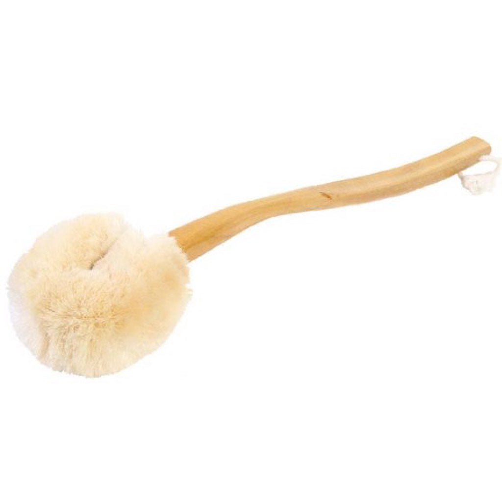 Eco Max Back Brush with Curved Handle