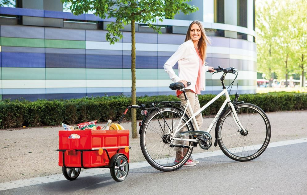 Andersen Shopper Bike Trailer